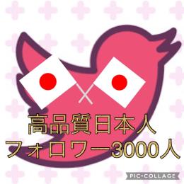 即お渡し！Twitter日本人フォロワー3000⬆シャドウバン無し、減少保証付き