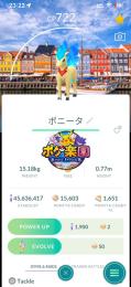 🥇非対面トレード🥇コペンハーゲン背景色違いポニータ