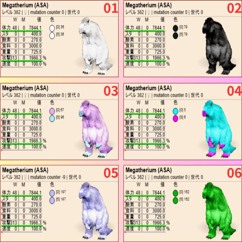 出品画像
