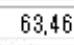 楓鯖 63G ※おまけつき
