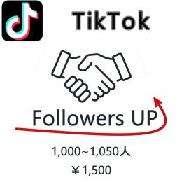 【1000人増加パック】TikTok　多国籍　フォロワー　30日保障　安心・安全【高品質】