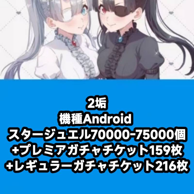 出品画像