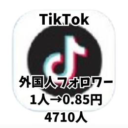 えむっち様専用 TikTok 🍀フォロワー 4710人 🍀減少保証つき！