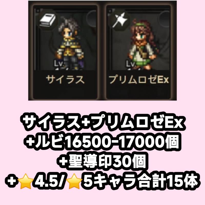 出品画像