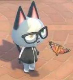 冠の雪原と鎧の孤島も対応 ポケモン 卵 配布も可 体 親名id変更可 ポケモン剣盾 ゲームクラブ