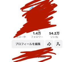 日本人100% 　リアルフォロワー　収益化済み　収益11月10万円,12月放置で3万円