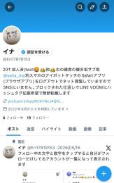 X(Twitter)アプリ版の本垢とサブ垢