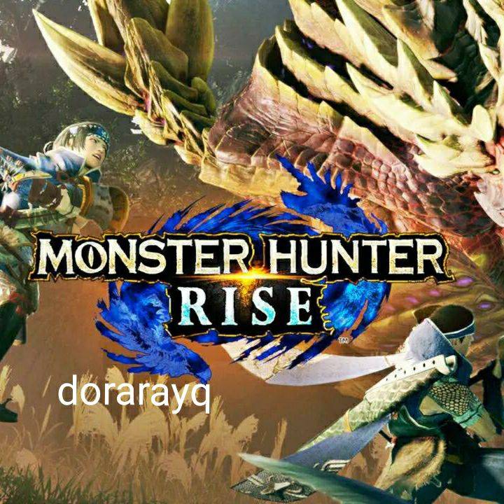 モンハンライズ 2 0対応 最強アカウント譲渡 名前と外見保存可 Or 神護石スキル 素材代行 モンスターハンターmhriseのアカウント売買サイト