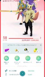 メガY背景100&剣の王ザシアン100｜値下げ