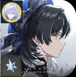 【星声63000-71000】+【渦模様111-123】+【波模様12-24】+ヴェリーナ｜アジア
