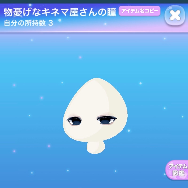 出品画像