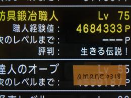 輝晶核　50個