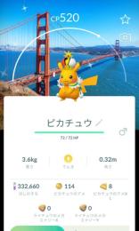 みぃさま専用