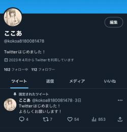 日本人相互垢 ﾌｫﾛﾜｰ100↑ スタートアップ垢 オールグリーン