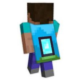 Minecraft｜Home マント 引き換えコード