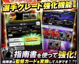 強化代行覚醒8グレード8アビ55×3