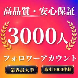 高品質・安心保証 フォロワー3000人オールドアカウント〈業界最大手〉〈取引1000件超〉