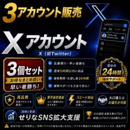 【🩷𝕏 超OLD垢 3個🩷】1分ログイン🚀凍結されにくい強アカウント🔥