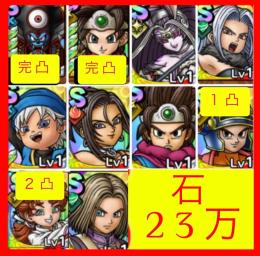 🌸神初期垢🌸ジェム23万🌸ロト女&闇ゾーマ完凸可🌸ロト血、少年テリー