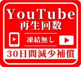【業界最安値】YouTube再生回数1万回増加＋いいね1000おまけ　高品質　減少時補償あり