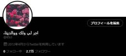【超高品質】2012年産 2.7万フォロワーアカウント【フォロ爆無し】