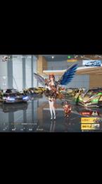 精鋭13垢 権威豪華限定版 金枠豊富