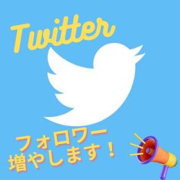 【最安値】Twitterフォロワー 20,000人増加！　減少保証付き！