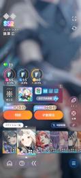 CM燕所持