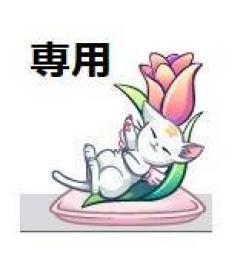専用