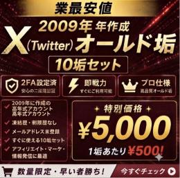 【超激レア】2009年作成X垢 10垢5000円⚡17年前の最古OLD垢・即納・凍結に強い🌙