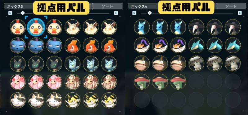 出品画像