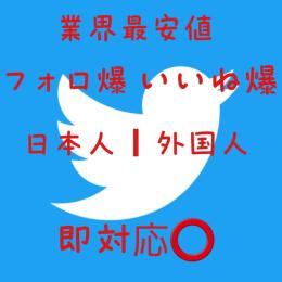 🔥業界最安値🔥実績多数🔥Twitterフォロ爆いいね爆