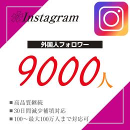 🐸【D_1_009】外国人フォロワー増加｜＋9000人｜2,700円（@0.3）