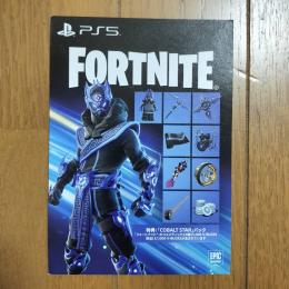 PS5専用 コスメティック8個 & 1000 V-BUCKS 「COBALT STAR」パック
