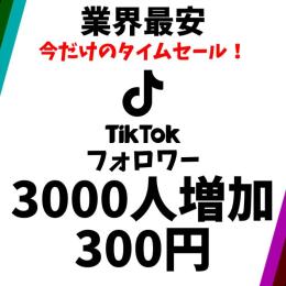 フォロワー3000人 激安特価！タイムセールで通常よりお安く！安心無料30日保証付き！確実に増加