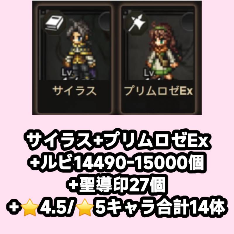 出品画像