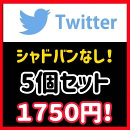 5個セット 10日以上運用X（Twitter）アカウント【シャドウバン、リプバンなし】検索表示可