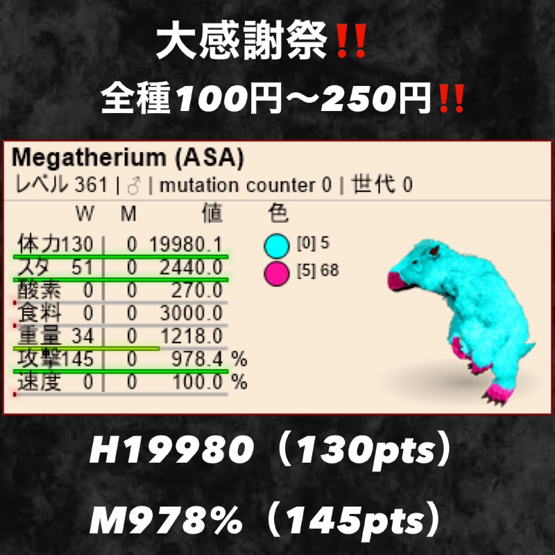 出品画像