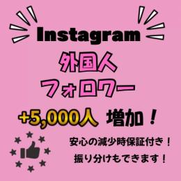 Instagram 多国籍フォロワー+5,000人 減少保証付