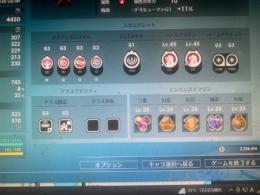 「引退」ツインストライカー　lv50 装備厳選済
