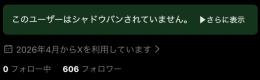 日本人フォロワー600人付き　Xアカウント　半年old垢