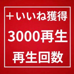 再生回数 3000回 増加〈365日間保証〉〈いいね付き〉〈増加速度◎〉〈収益化◎〉