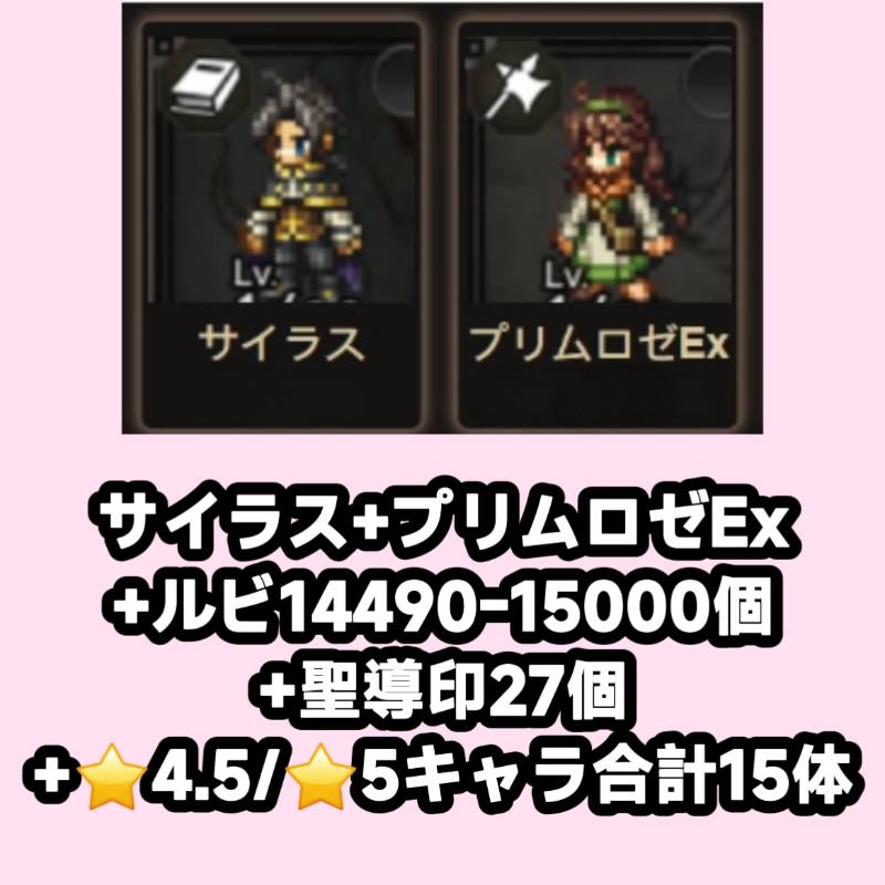出品画像