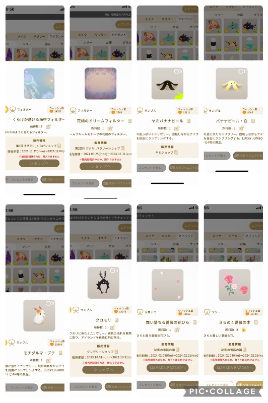 出品画像
