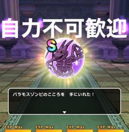 任意ほこら討伐代行