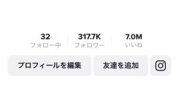 フォロワー30万人超