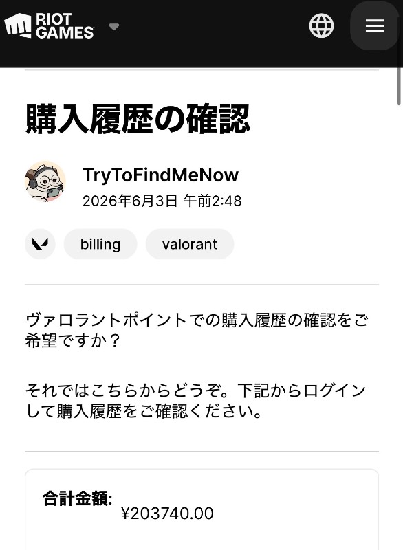 出品画像