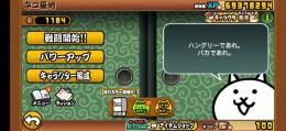 XP6千万↑全猫所持