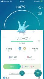 色違いサニーゴ×2 色違いサワムラー