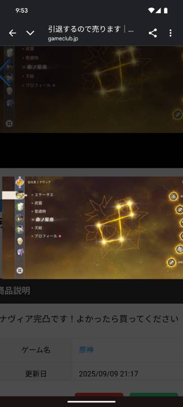 出品画像